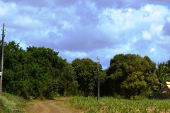The Surviving Stone Structures of Antoinette Sugar Estate