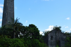 The ruins of the Stone Sugar Factory and Sugar Chimney of Antoinette which were built during the 1870s