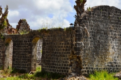 View of the Old Storage Building of Antoinette