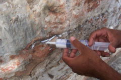 Conservation works at the Aapravasi Ghat 2009
