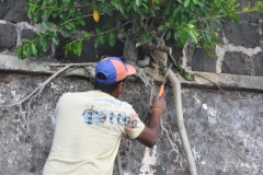 Conservation works at Trianon