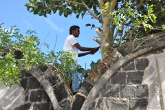 Conservation works at Trianon 2008