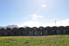 Conservation works at Trianon 2008