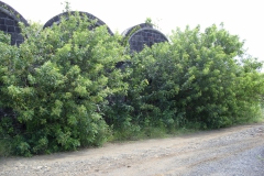 Conservation works at Trianon 2009