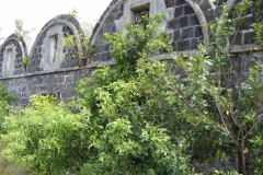 Conservation works at Trianon 2009