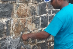 Conservation works at Trianon 2013