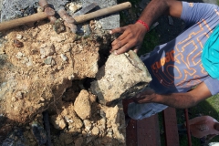 Conservation works at Trianon 2015