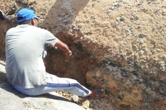Conservation works at Trianon 2015