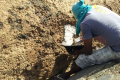 Conservation works at Trianon 2015