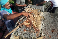 Conservation works at Trianon 2015